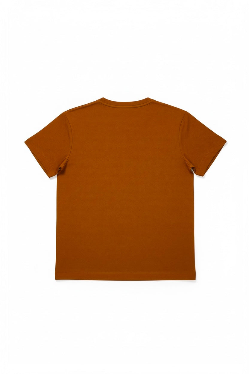 T-001_220_RUST